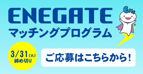 ENEGATEマッチングプログラム