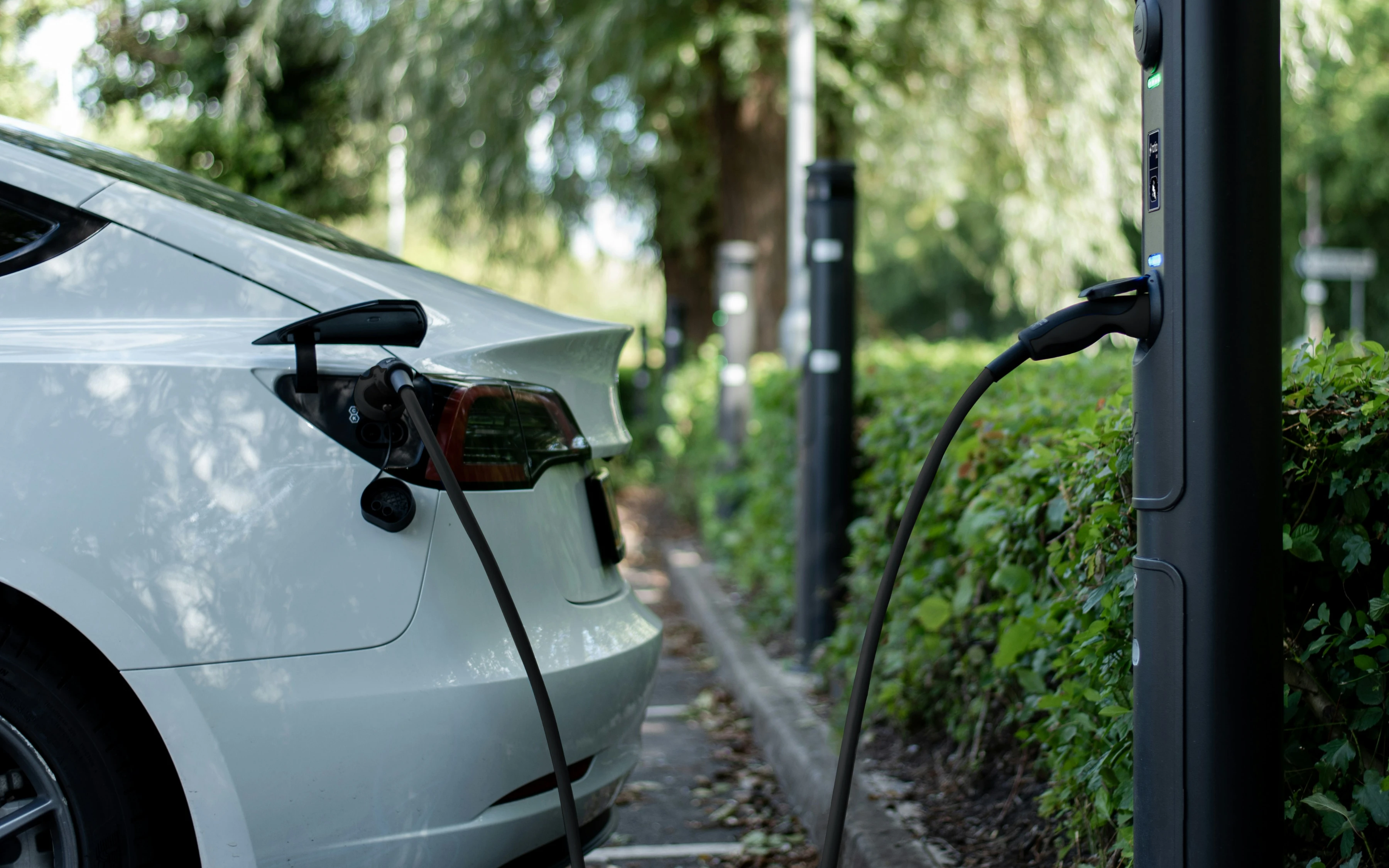 �[�d�����